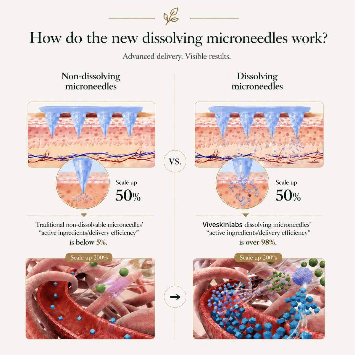 VIVESKINLABS